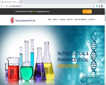 Avirat Infotech software development project